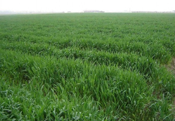 1631172197685946.jpg image.jpg