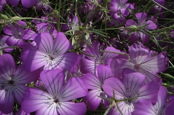 1631178035913991.jpg image.jpg