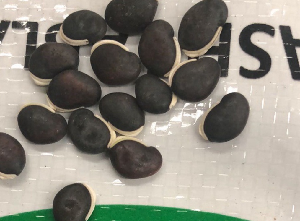 1631191341470171.jpg 1631191341470171.jpg