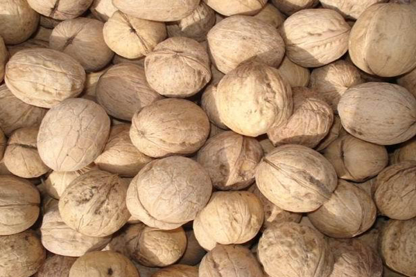 1631786815636999.jpeg 核桃1.jpeg