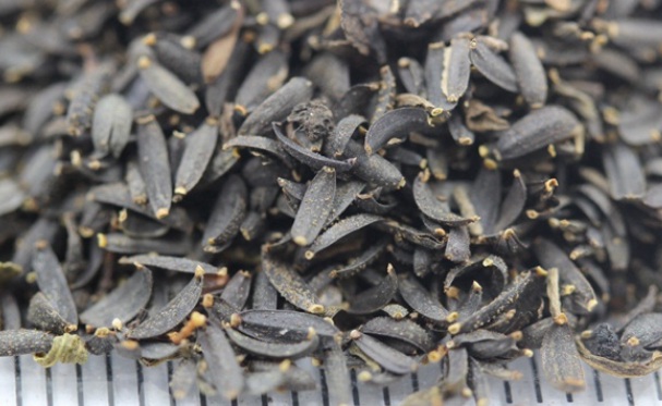 1632205983742489.jpg image.jpg