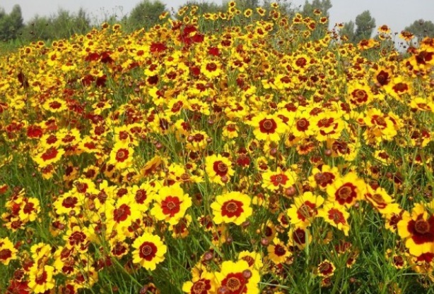 1632205995760183.jpg image.jpg