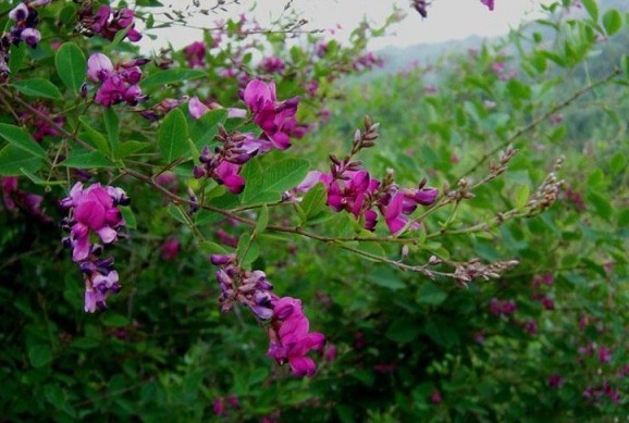 1632208278222497.jpg 1632208278222497.jpg