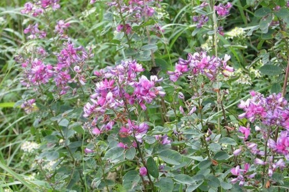 1632208291437571.jpg 1632208291437571.jpg