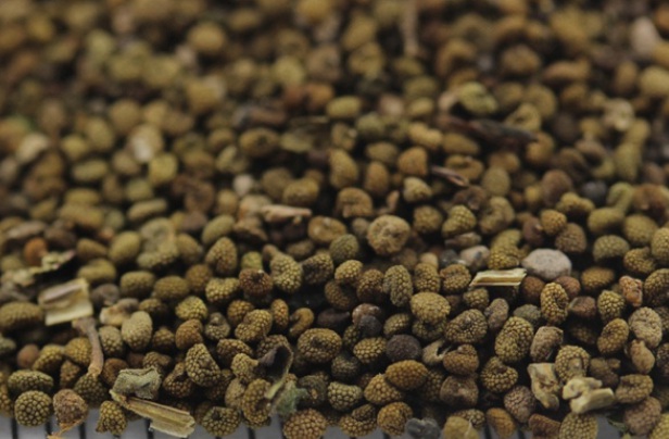 1632211793533160.jpg image.jpg