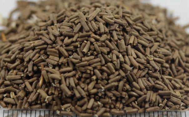 1632271102141283.jpg image.jpg