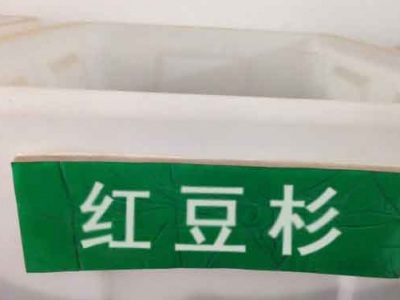 紅豆杉種子幾月份播種最好？