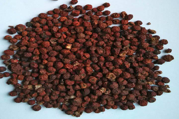 1636597347929535.jpeg 火棘種子1.jpeg