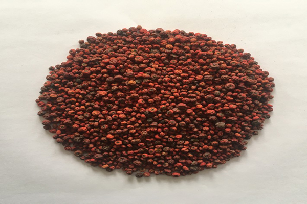 1636597360104785.jpeg 火棘種子3.jpeg