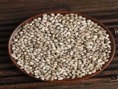 那里能買到半夏種子？