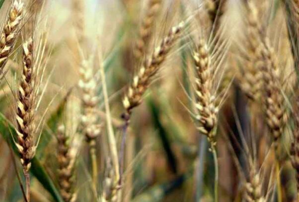 1645237727192763.jpg 5++.jpg