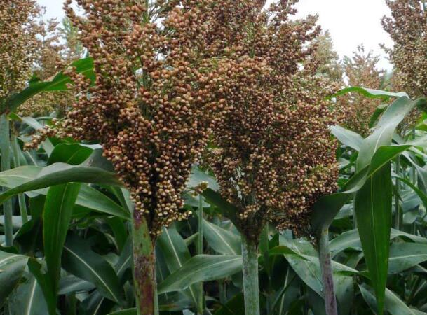 1645623304760168.jpg 8.jpg