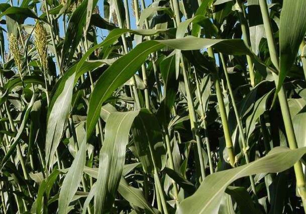 1645623321795722.jpg 8+.jpg