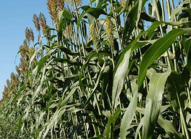 1645623334767420.jpg 8++.jpg