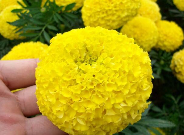 1646132787410285.jpg 7+.jpg