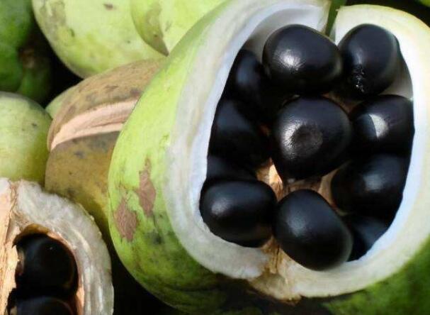 1646292749615898.jpg 3++.jpg