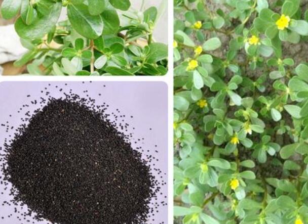 1648090134196735.jpg 6.jpg