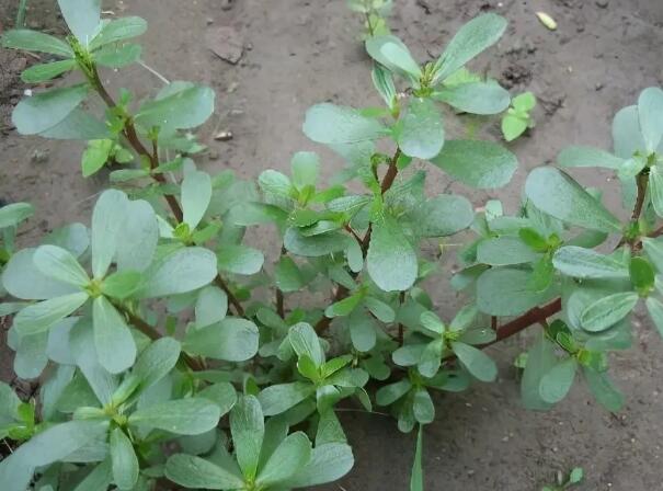 1648090148585420.jpg 6+.jpg