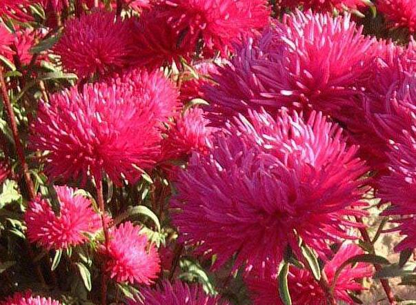 1648798359956555.jpg 1.jpg