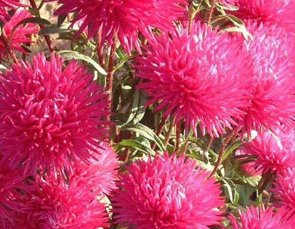 1648798378650444.jpg 1+.jpg