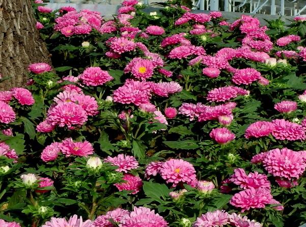 1648798389959818.jpg 1++.jpg