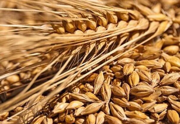 1648948959591621.jpg 8.jpg