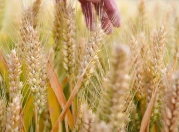 1648948975768435.jpg 8+.jpg