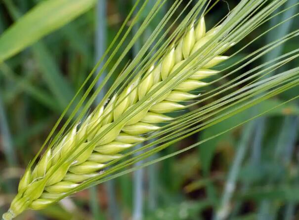 1648948989619015.jpg 8++.jpg