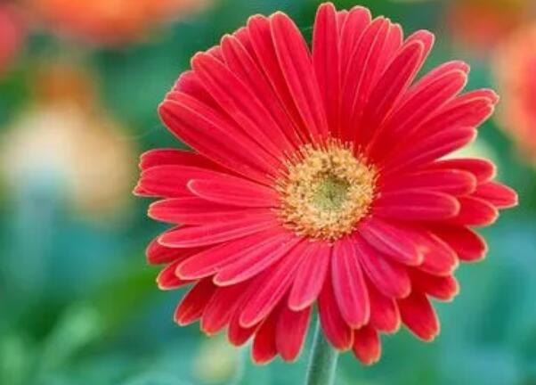 1648950730856118.jpg 4.jpg