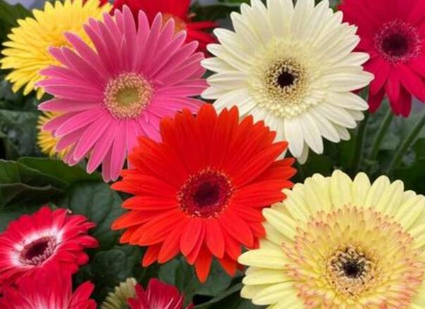 1648950741725848.jpg 4+.jpg