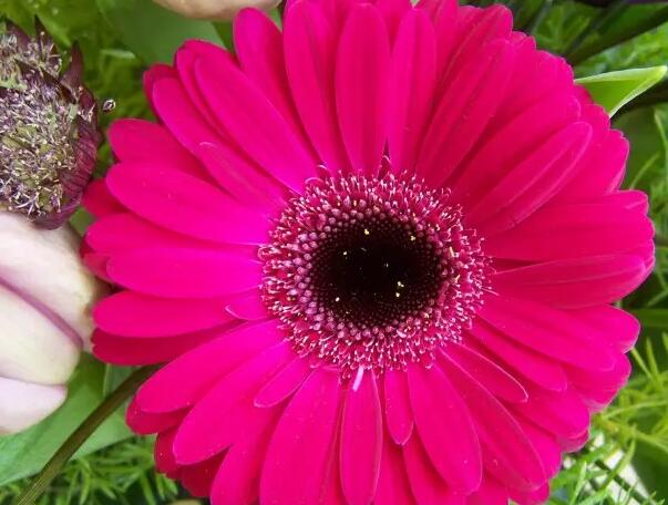 1648950749153479.jpg 4++.jpg