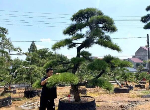 1649001021413245.jpg 7+.jpg