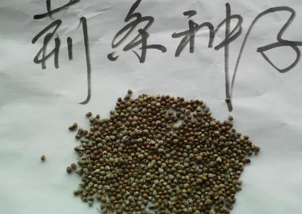 1649065366988648.jpg 8.jpg