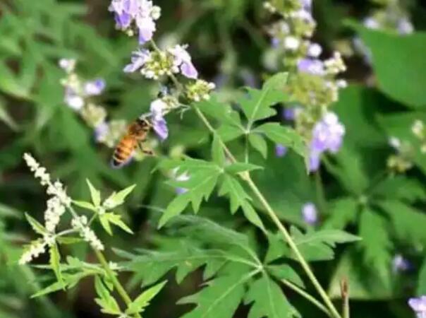 1649065390846111.jpg 8++.jpg