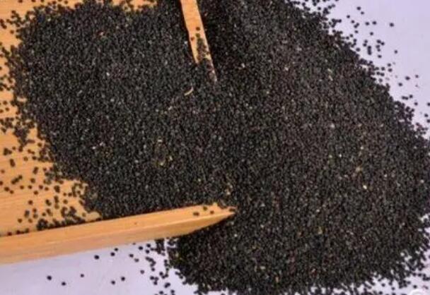 1649086204224133.jpg 8.jpg