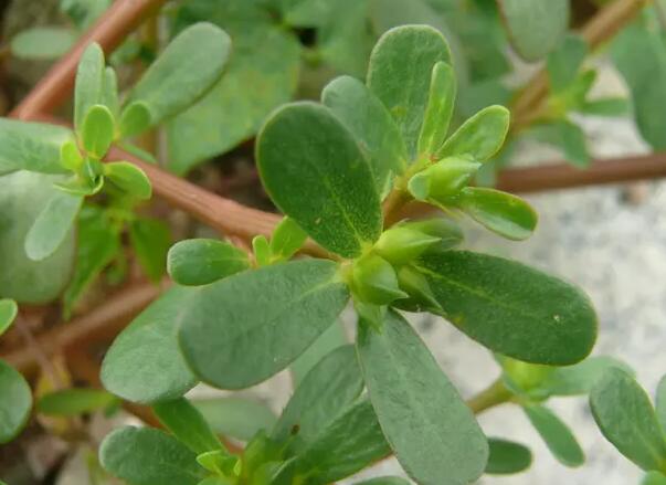 1649086219383357.jpg 8+.jpg