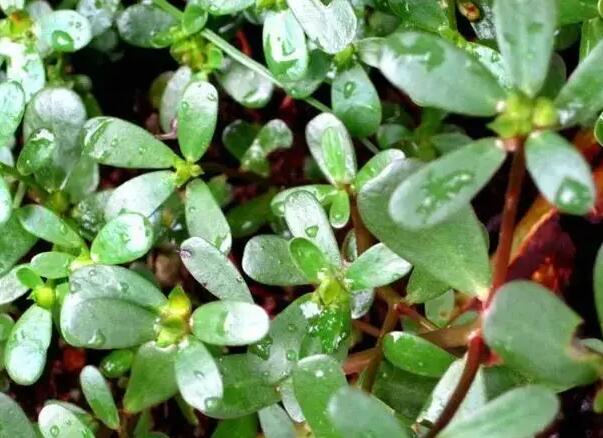 1649086231256686.jpg 8++.jpg