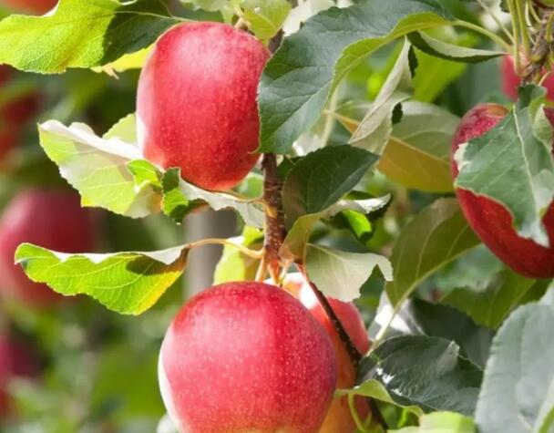 1649151769186560.jpg 2+.jpg