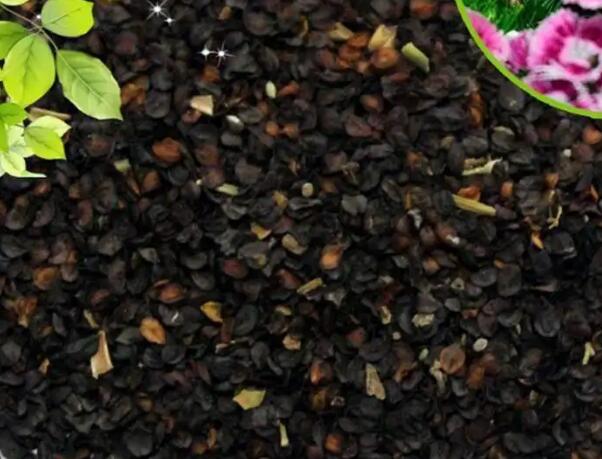 1649220298558561.jpg 7.jpg