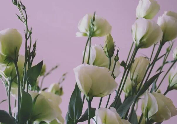 1649253192373977.jpg 8+.jpg