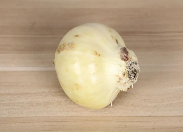 1649498871636929.jpg 00.jpg