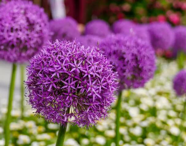 1649498888129456.jpg 0000.jpg