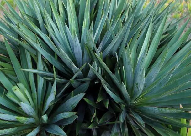 1654785417366011.jpg 0.jpg