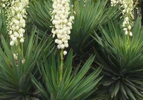 1654785594481264.jpg 0++.jpg