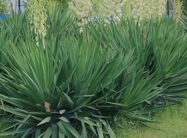 1654785608581743.jpg 0+.jpg