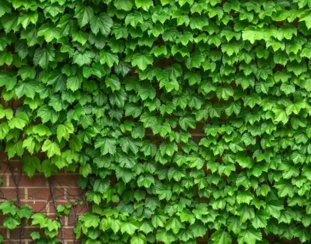 1655089587366001.jpg .0.jpg