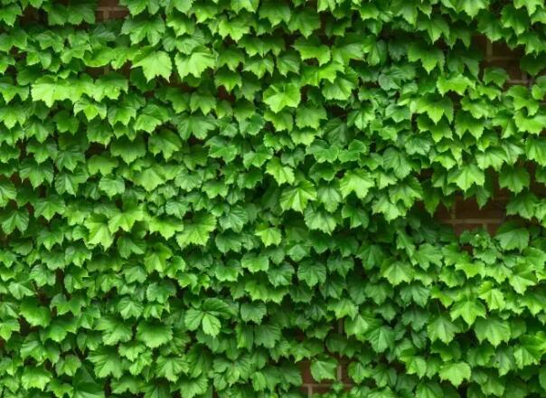 1655089601662540.jpg ..0.jpg