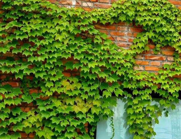 1655089618774999.jpg .....0.jpg