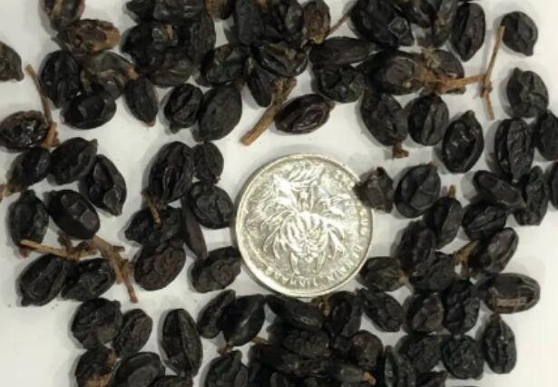 1655977840129489.jpg 6.jpg