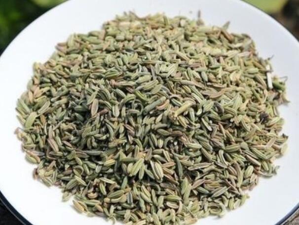 1656072666994465.jpg 2.jpg